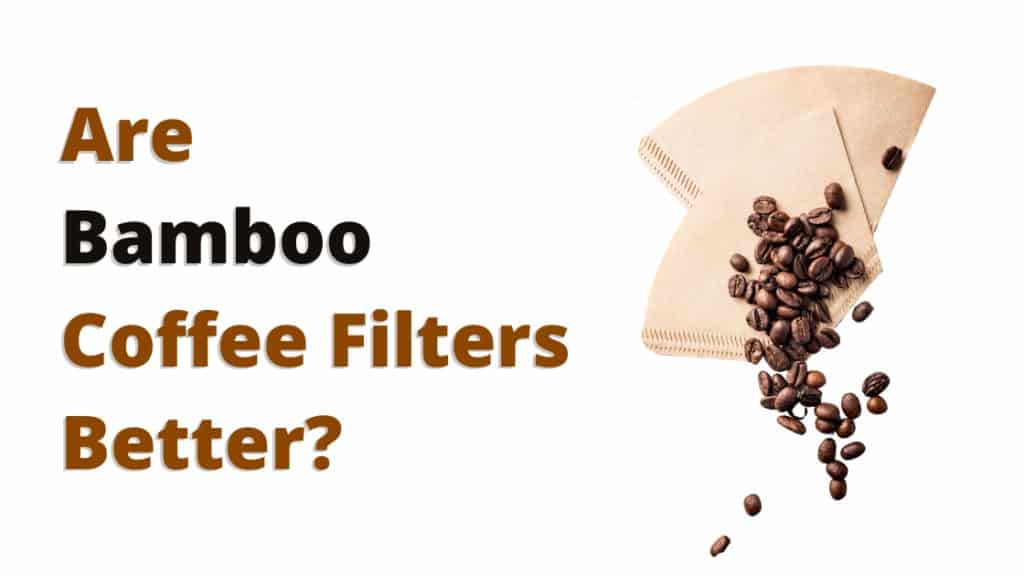Are Bamboo Coffee Filters Better? The Coffee Buzz