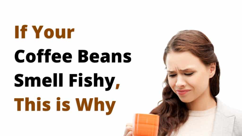 If Your Coffee Beans Smell Fishy, This Is Why The Coffee Buzz